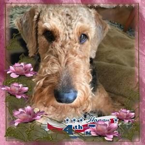 Meet your Posher, Kevin